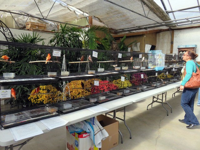 Display 2016-Shelmerdine's